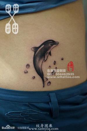 海豚纹身